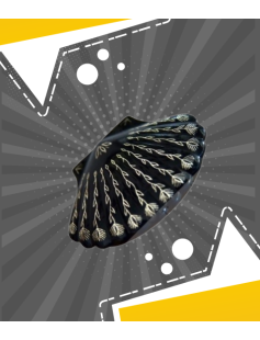 Handcrafted Bidri Box – Pure Silver Wire Inlay 871